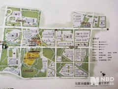  Beyond Meat独家回应